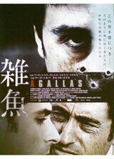 雑魚のポスター