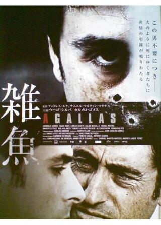 雑魚のポスター