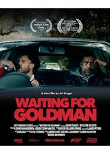 ゴールドマンを待ち伏せろのポスター