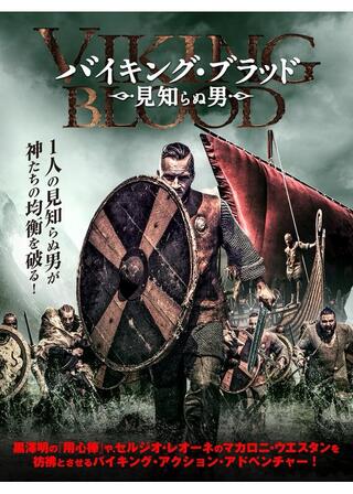 バイキング・ブラッド 見知らぬ男のポスター