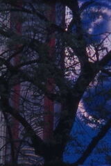 Pastourelle（原題）のポスター