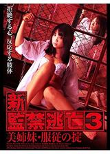 新・監禁逃亡３～美姉妹・服従の掟～のポスター