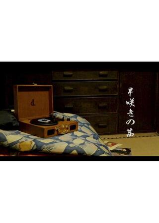 早咲きの茜のポスター