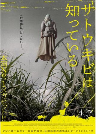 サトウキビは知っているのポスター