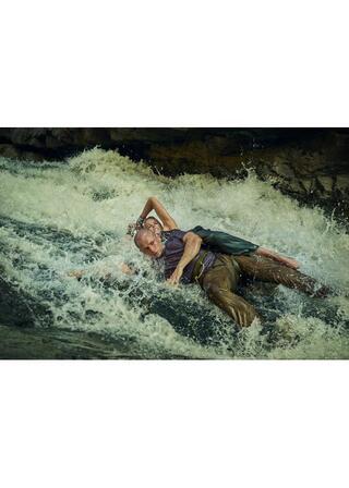 エイペックス・プレデターのポスター