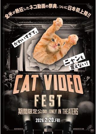CatVideoFestのポスター
