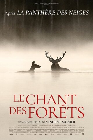Le chant des forêts（原題）のポスター