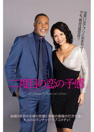 二度目の恋の予感のポスター