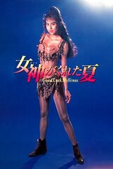 女神がくれた夏のポスター