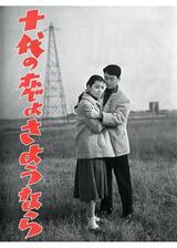十代の恋よさようならのポスター