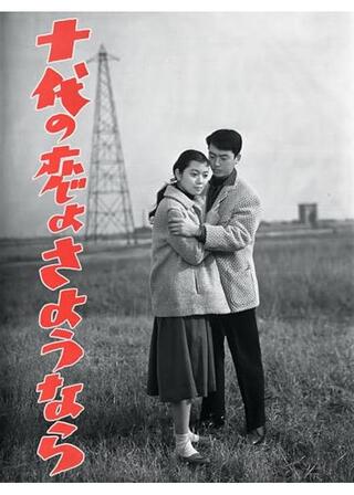 十代の恋よさようならのポスター