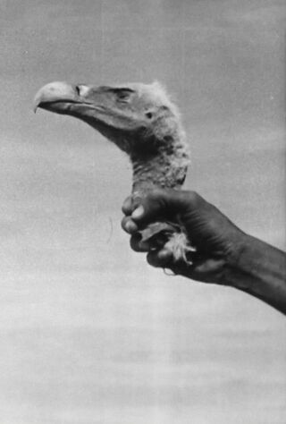 Les Magiciens De Wanzerbé（原題）のポスター