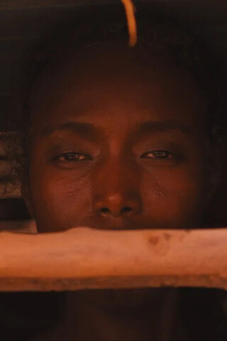 Mother Mother（原題）のポスター