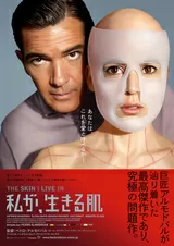 私が、生きる肌のポスター