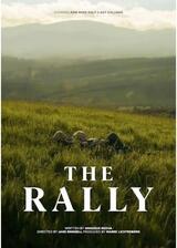 ターミナル・ルシディティのポスター