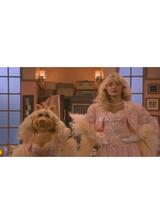 マペット・ショーのポスター