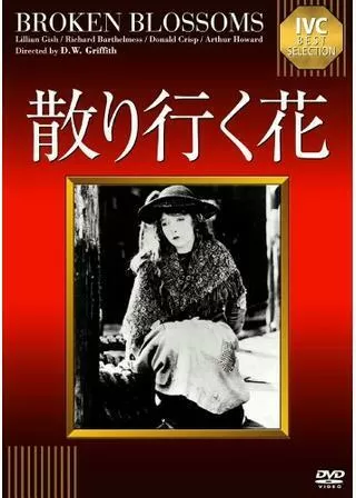 散り行く花のポスター