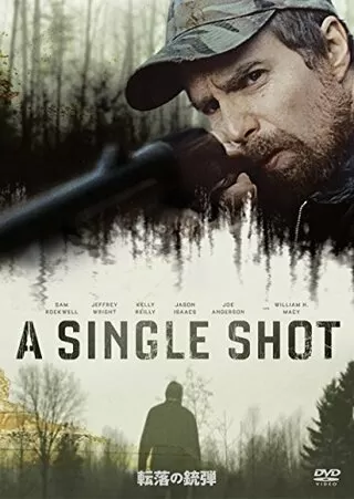 転落の銃弾のポスター
