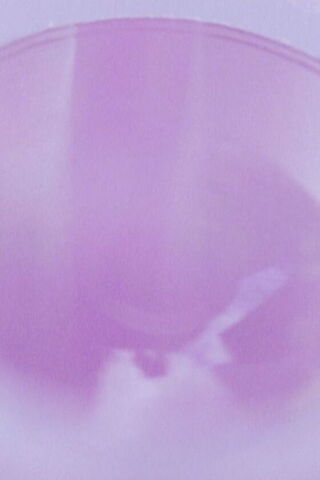 土、習慣、植物のポスター