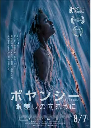 ボヤンシー 眼差しの向こうにのポスター