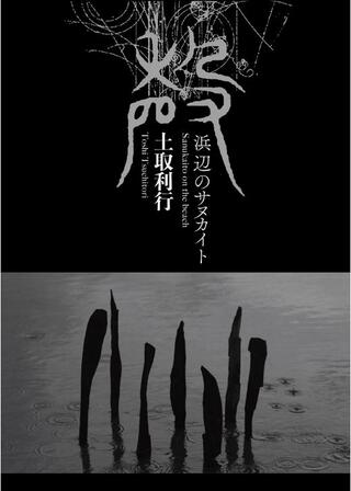 浜辺のサヌカイトのポスター