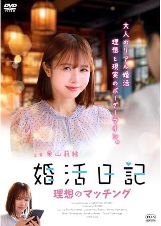 婚活日記 理想のマッチングのポスター