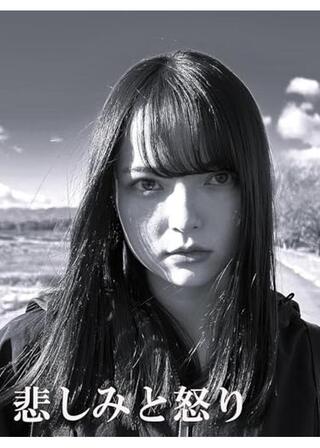 悲しみと怒りのポスター