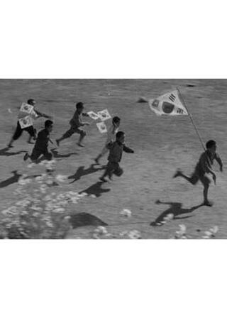 洛東江のポスター