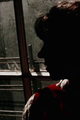 夜の泉・昼の星のポスター