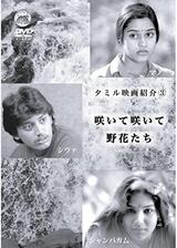 咲いて咲いて野花たちのポスター