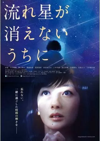 流れ星が消えないうちにのポスター