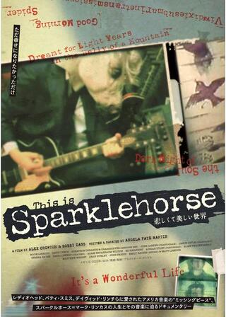 悲しくて美しい世界／THIS IS SPARKLEHORSEのポスター
