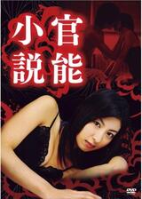 官能小説のポスター