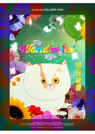 グレースの素晴らしき人生のポスター