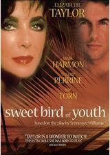 七年目の愛情のポスター