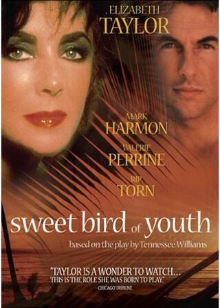 七年目の愛情のポスター