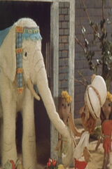 しろいぞうのポスター