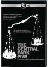 The Central Park Five（原題）のポスター