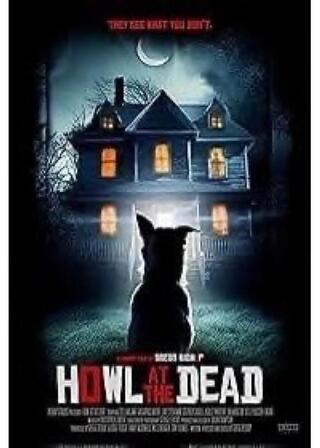 ゴーストハウスの番犬のポスター