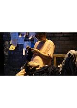 ベガを探してのポスター