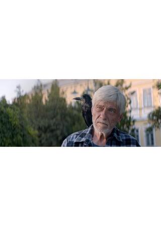 罠 ドナウ川の守り人のポスター