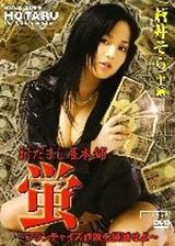 新だまし屋本舗・蛍～フランチャイズ詐欺を撲滅せよ～のポスター