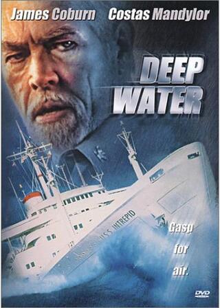 イントレピッドのポスター