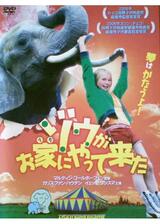 ゾウがお家（うち）にやって来たのポスター