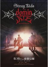 Stray Kids : The dominATE Experienceのポスター