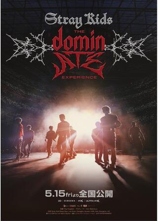 Stray Kids : The dominATE Experienceのポスター
