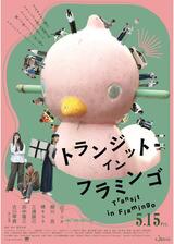 トランジット・イン・フラミンゴのポスター