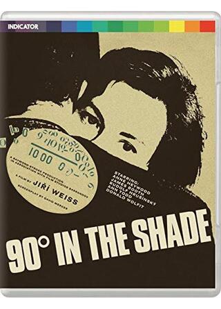 90 Degrees in the Shade（原題）のポスター