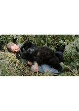 デヴィッド・アッテンボロー: ゴリラが紡ぐ物語のポスター