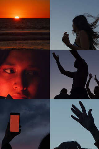 Wilderness（原題）のポスター